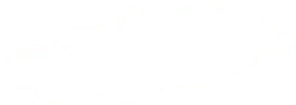 雷竞技